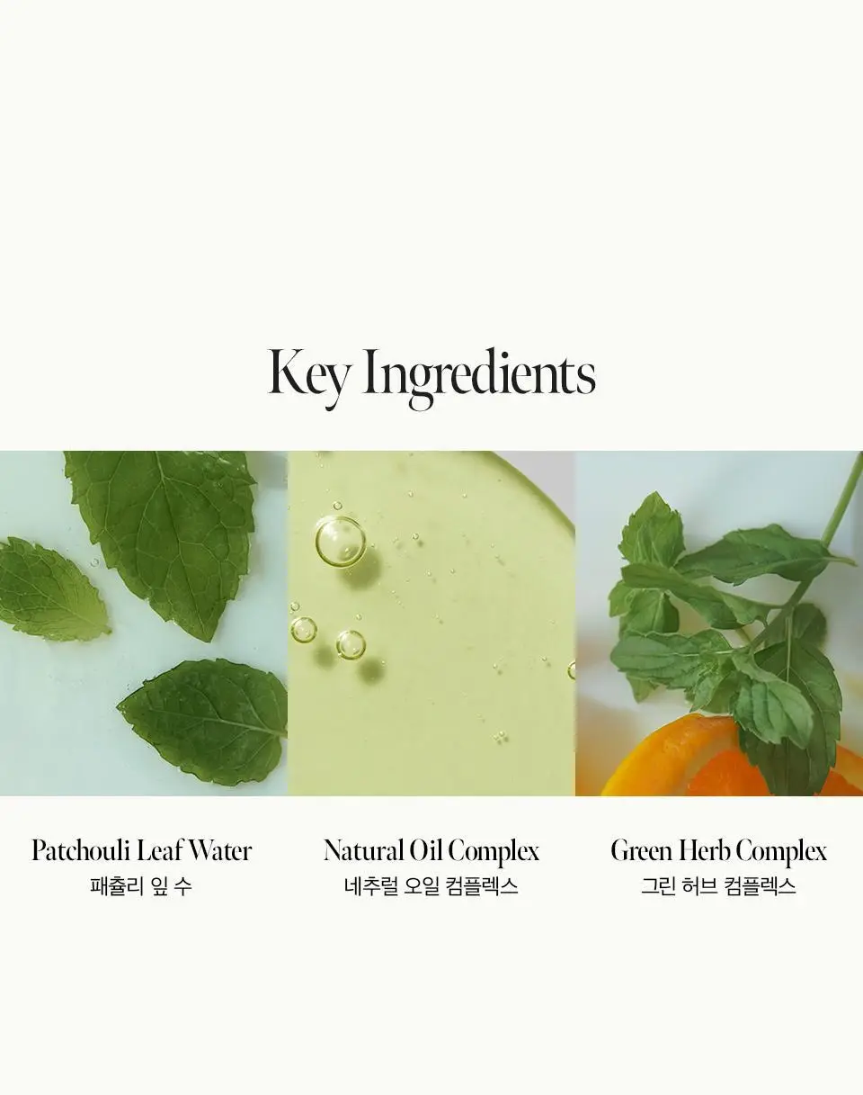 [열보호] 아닐로 패츌리가든 데미지 리페어 헤어 에센스 50ml (기획/단품) 상세페이지 7